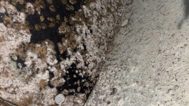 Technician performing sanitizer fogging treatment through a return vent to remove odors and allergens